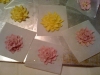 Sugar Flowers