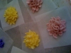 Sugar Flowers