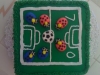 Sydni\'s Soccer Cake